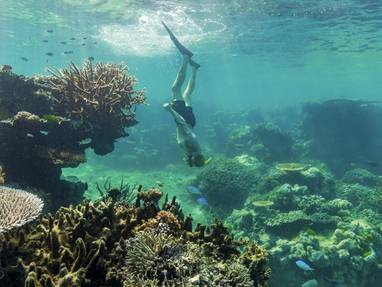 153671-2022_TNQ_GBR_Cairns_QuicksilverP