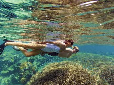 153670-2022_TNQ_GBR_Cairns_QuicksilverP_(1)