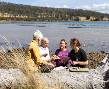 776ea81261168eb9271347a2dc519ba4