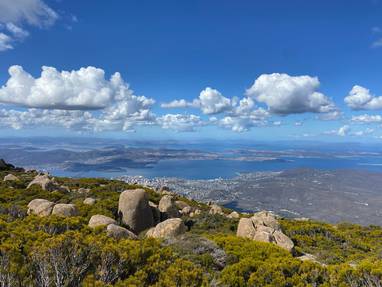 IMG-20240318-WA0012_(003)