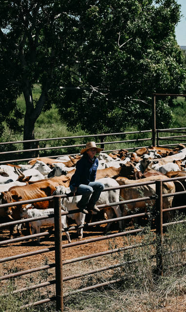 Bullo_GAV_Muster_1122