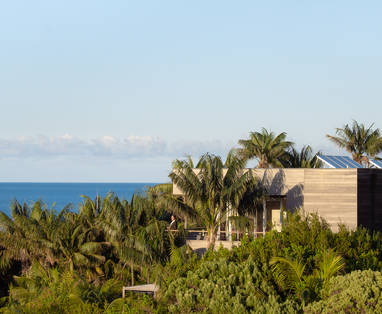 SOLLR-makambo-views_(1)