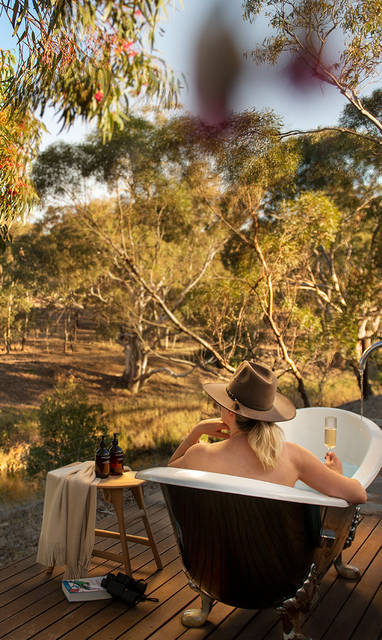Bush-Bath-01