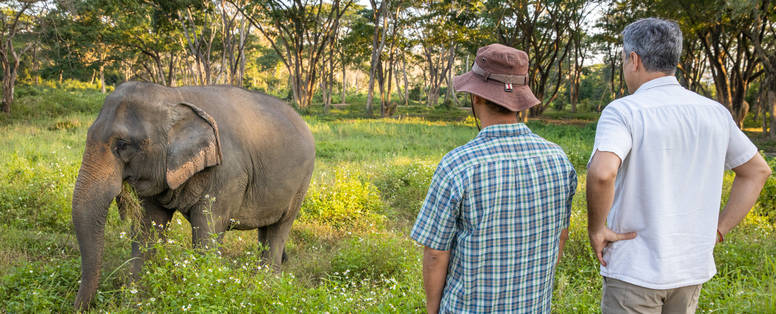 Excursie naar duurzame olifantenopvang waarbij je heel dichtbij de olifanten komt in Pa Sak Tong