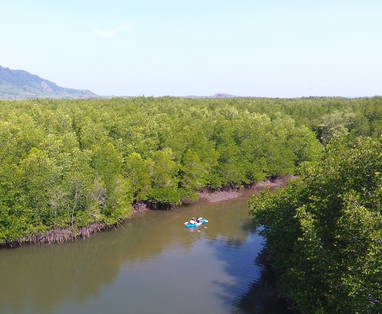 Mangroves van Koh Jum Beach Villa's