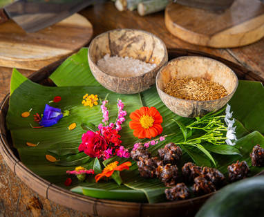 Olifanten ervaring bij The Bush Camp in Chiang Mai, Thailand