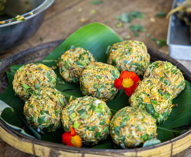 Olifanten voer bij The Bush Camp in Chiang Mai, Thailand