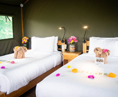Twin bedden in tent bij The Bush Camp in Chiang Mai, Thailand
