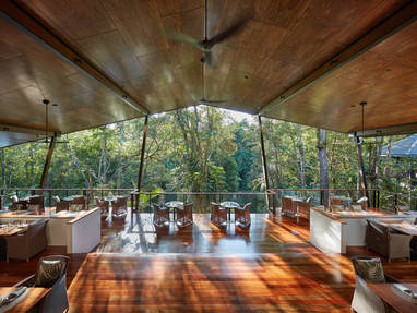 3.-Treehouse-Views_(1)