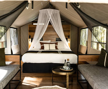 Deluxe_Plus_Tent_Interior_1_RachaelTaggpaperbark-1487