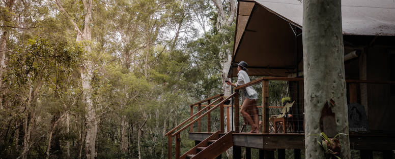 Copy_of_V2__leebess__leebess_name-2919