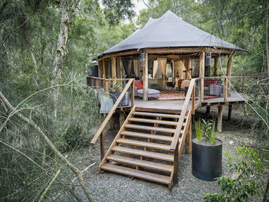 Copy_of_PAPERBARK_KING_PARROT_EXTERIOR_1