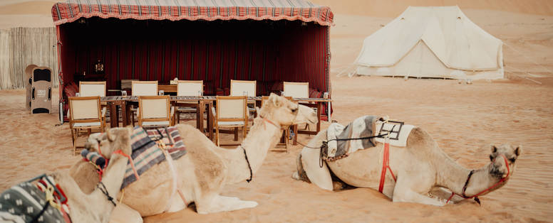 canvas-club-old-majilis-camels