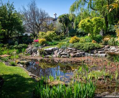 Islington_exterior_Garden_3