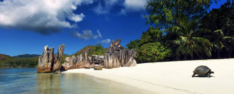 STB_29_CurieuseIsland