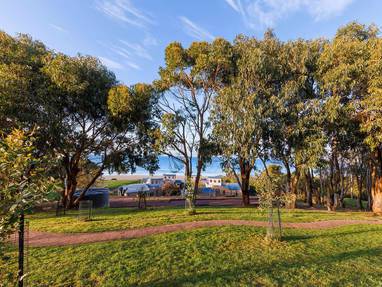 chocolate-gannets-koala-track-05