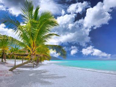 pexels-allphoto-bangkok-1628521-12001672