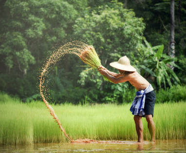 Lokale bevolking bij Reverie Siam in Pai, Thailand