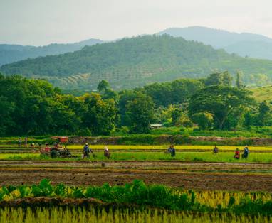 wathanyu-chomchuen-aZYchVXBWgw-unsplash