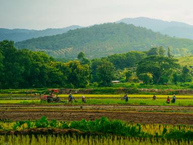 wathanyu-chomchuen-aZYchVXBWgw-unsplash