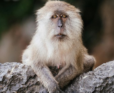 ryan-porter-LjEVyRiY3Y0-unsplash