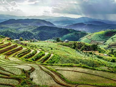 david-gardiner--VSZCFZ0avo-unsplash