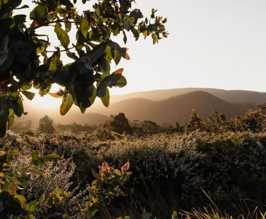 LBC_2025v5.pptx_(17)