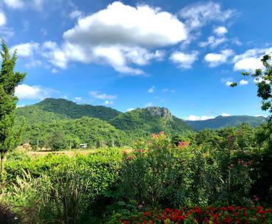 bradley-prentice-uWsB29CtDIA-unsplash