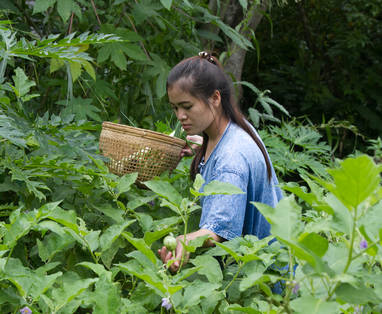 Tuinen Khum Lanna nabij Chiang Mai, Thailand