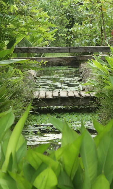 Weelderige tuin Khum Lanna nabij Chiang Mai, Thailand