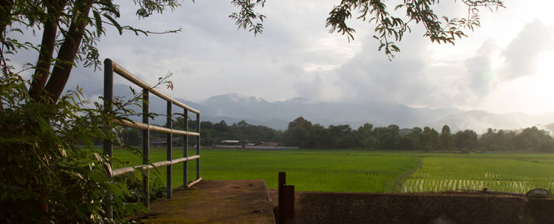 Uitzicht over de rijstvelden Khum Lanna nabij Chiang Mai, Thailand