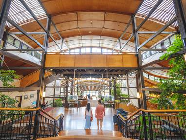 150729-2022_FC_KGari_FraserIsland_KingF