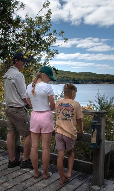 147161-2021_FC_FraserIsland_KingfisherB