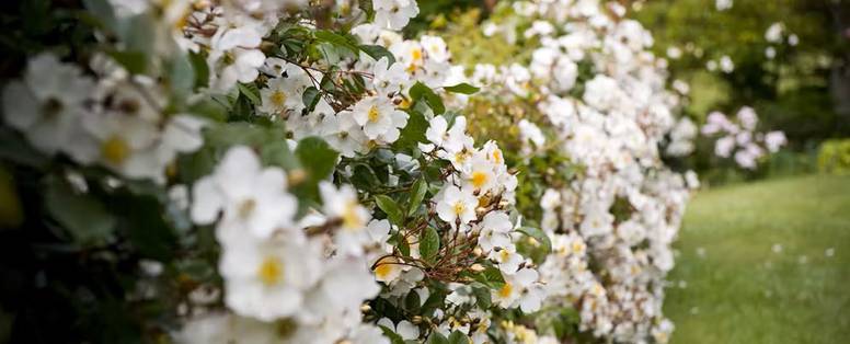 f262bb87-0bd0-401d-96ed-84fc965fdec8