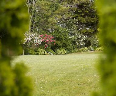 19d71ec0-63a1-421f-ad7d-81caa4b4b086