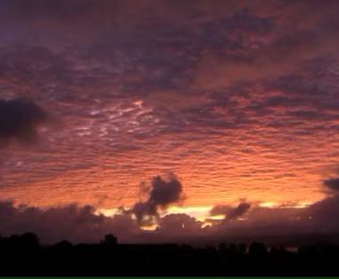 a42b282a-378d-40e5-9c82-cf897aa7131e