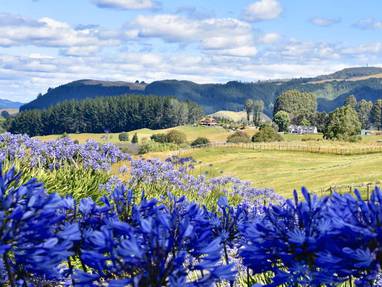 2e180e42-8cc2-4a89-b4ed-28f52cb4c273