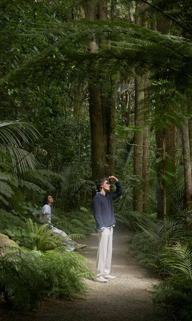 RWNKC_Destination_Totara_Forest_(3)