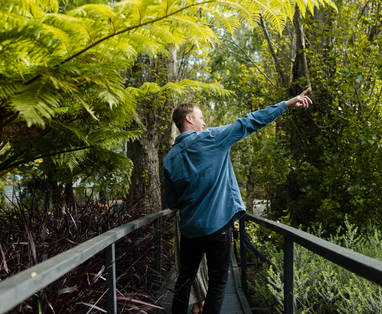 Explore_Nature's_Beauty__A_Stroll_Through_Chimes_Spa_Retreat's_Lush_Tropical_Garden_-_Rachel_Clare
