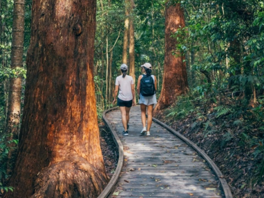 narrows-great-walk-package-1500x725-1