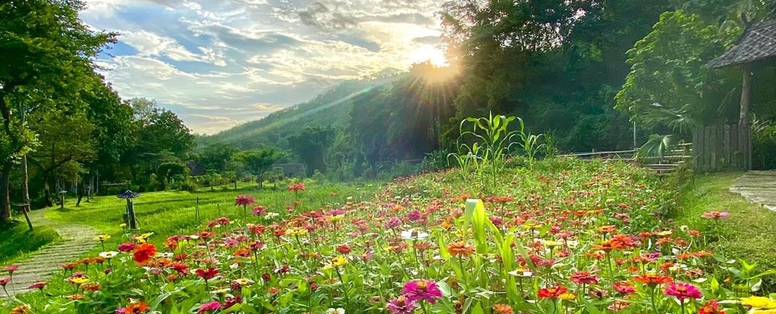 Omgeving bij Fern Resort in Mae Hong Son in Thailand