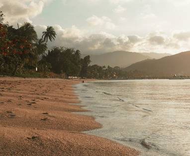 johannes-mandle-2AbpKBB5_cw-unsplash