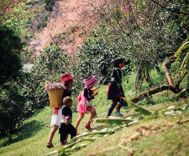 thien-kim-nguyen-trinh-4s0-XGI66zA-unsplash