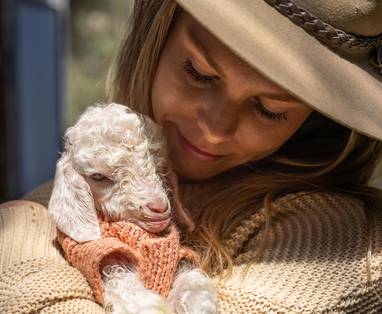 CurrajongRetreat_imagery_9_(1)