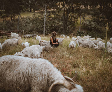 CurrajongRetreat_imagery_5