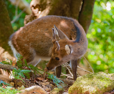 Kopie_van_18-8_post_insta_(Facebook-bericht)_(6)