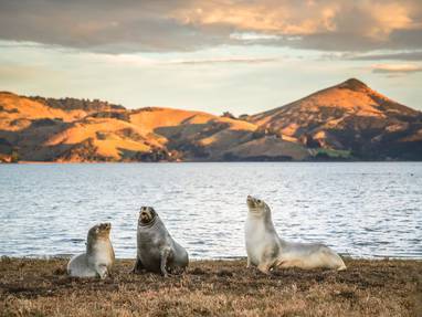 233426-dunedin-otago-web-1920