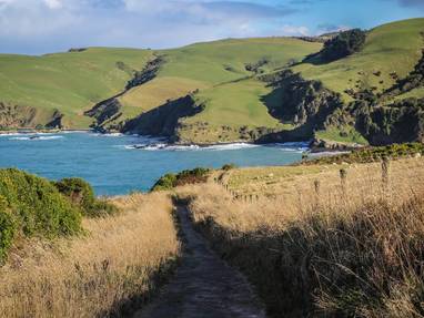 456353-the-catlins-southland-new-zealand-credit-liz-carlson-2-web-optimised-1280px-webp