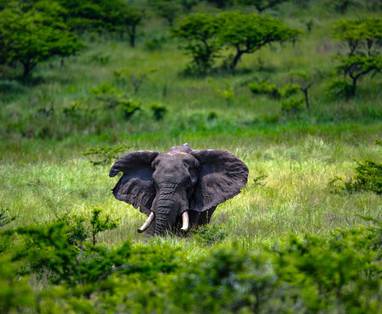 KNP204-edit-1-min-scaled-1