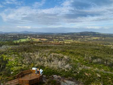 37_20201107_ASW_Mt-Barker-Wildflowers-Spot-web